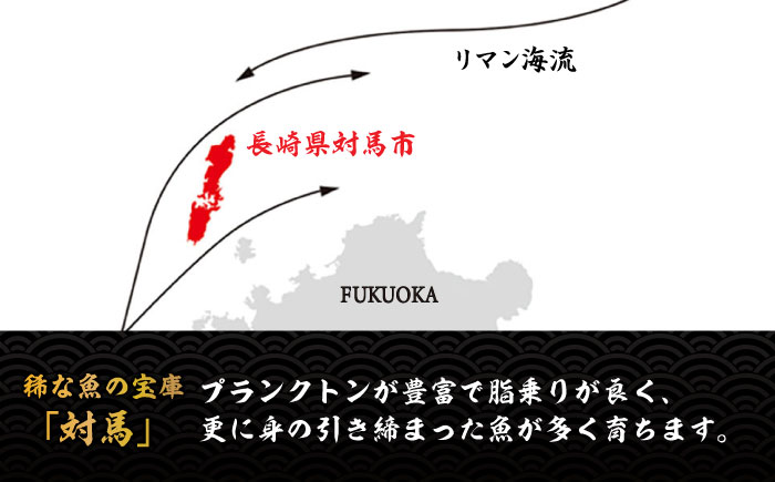 【全2回定期便】対馬産 べっぴん あなご 詰め合わせ 《対馬市》【桐谷商店】 対馬 新鮮 ふわふわ 穴子 刺身 海産物 魚介 冷凍配送 [WAQ016]