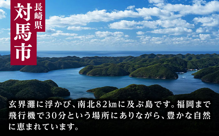 天然 桜鯛 フィーレ 1kg 《対馬市》【対馬新鮮組】 下処理済 鯛 真鯛 サクラダイ 新鮮 お祝い 冷凍配送 産地直送 [WCS002]