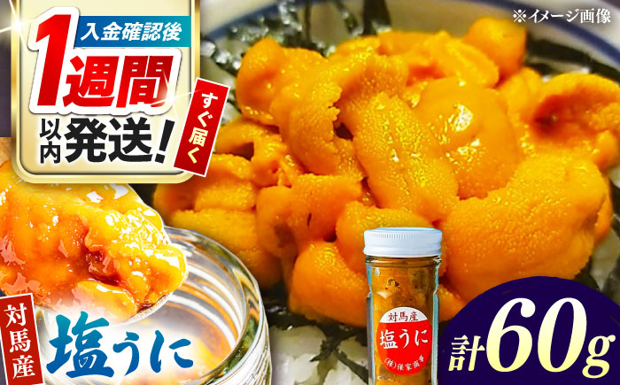 【1週間以内発送】対馬産 塩うに 60g《対馬市》【保家商事】 ウニ うに 冷凍 塩ウニ  対馬 雲丹 ムラサキウニ 紫ウニ  紫うに 人気 ランキング 長崎 九州 つしま 対馬市 海鮮 魚介 [WAA002] スピード発送 最速発送 最短発送