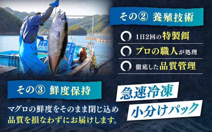 【1週間以内発送】対馬産 本マグロ 3種 計900g（赤身/中トロ/ネギトロ）《対馬市》【対海】 冷凍配送 食べ比べ 贈り物 魚介類 [WAH029] スピード発送 最速発送 最短発送