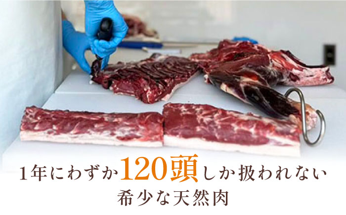 ジビエ ソーセージ 3種（ハーブ・レモン・しいたけ）《対馬市》【一般社団法人 daidai】 鹿肉 猪肉 肉 お肉 冷凍配送 食べ比べ ウインナー 簡単調理 詰め合わせ [WBH047]