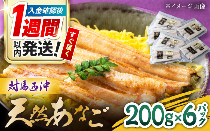 【1週間以内発送】対馬産 西沖あなご 200g×6パック《対馬市》【保家商事】 あなご 穴子 アナゴ 海鮮 海産物 魚介 [WAA037] スピード発送 最速発送 最短発送