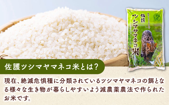 対馬 佐護 ツシマヤマネコ 米 田んぼオーナー1年権【ツシマヤマネコ米30kg付き】（対馬市）【一般社団法人MIT】 米作り体験 田植え 体験 稲刈り 離島 チケット [WAP015]