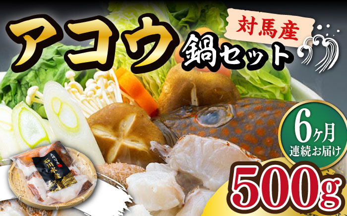 【全6回定期便】【 対馬産 】 アコウ ( キジハタ ) 鍋 セット 500g 《対馬市》【石川水産】 水炊き 高級 鮮度抜群 海鮮 [WAB016]