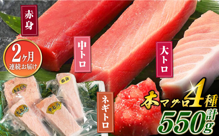 【全2回定期便】対馬産 本マグロ 4種 計550g（赤身/中トロ/大トロ/ネギトロ）《対馬市》【対海】 新鮮 マグロ 鮪 本鮪 赤身 中トロ 大トロ ねぎとろ 海鮮 冷凍 [WAH033]