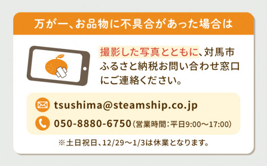 【24年1月限定発送】 対馬 つつ みかん 10kg 《対馬市》【対馬農業協同組合】長崎 豆酘みかん ミカン 柑橘 [WBM005]