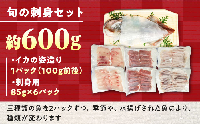 対馬 イカ 姿造り と 刺身 の セット 【真心水産】《対馬市》新鮮 海鮮 いか 冷凍 刺身 ケンサキイカ 島魚 海鮮丼 手巻き寿司 [WAK011]