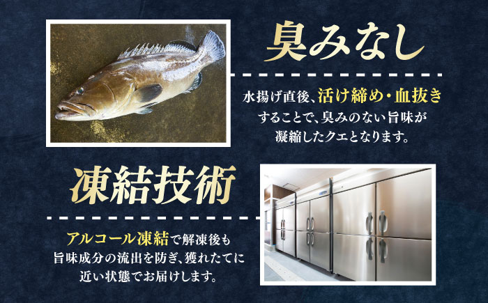 対馬産 クエ ぶつ切り 900g 鍋用スープ付《対馬市》【島本水産】高級魚 新鮮 肉厚 本格的 海鮮 鍋セット フライ 煮付け アラ [WBI006]