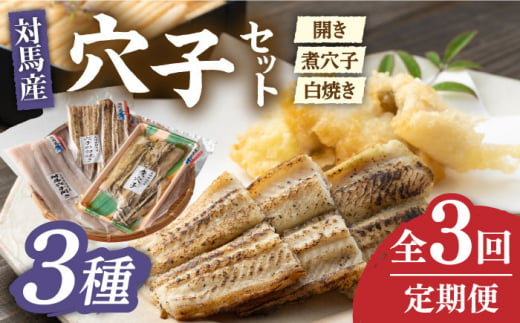 【全3回定期便】対馬 穴子 セット 500g《対馬市》【海風商事】国産 九州 長崎 煮穴子 白焼き [WAD038]冷凍 あなご 食べ比べ 白焼き 贈り物 ギフト 煮穴子 おかず もう1品 人気  定期便 毎月届く