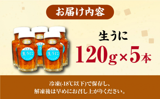 対馬産 生うに 120g×5本《対馬市》【保家商事】 ウニ うに 冷凍 生ウニ 雲丹 対馬 ムラサキウニ 紫ウニ  紫うに 人気 ランキング 長崎 九州 つしま 対馬市 海鮮 魚介 [WAA010]