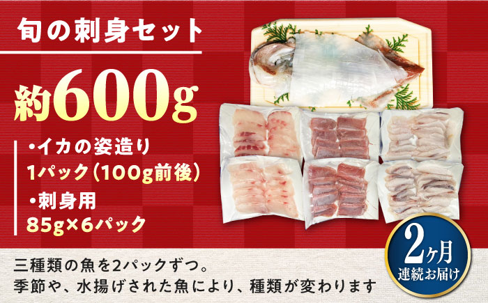 【全2回定期便】対馬 イカ 姿造り と 刺身 の セット 【真心水産】《対馬市》新鮮 海鮮 いか 冷凍 刺身 ケンサキイカ 島魚 海鮮丼 手巻き寿司 [WAK025]