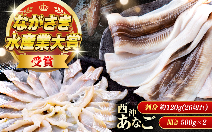 【対馬西沖あなご堪能セット】 刺身120g 開き500g×2 《対馬市》【すし処慎一】 あなご 国産 肉厚 穴子 アナゴ 新鮮 鮮魚 冷凍 [WCO006]