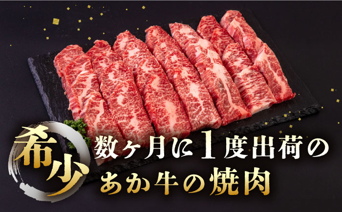 対馬生まれのあか牛 焼肉用 500g《対馬市》【株式会社Tsukushi】 対馬 牛 和牛 焼肉 冷凍配送 [WCR009]