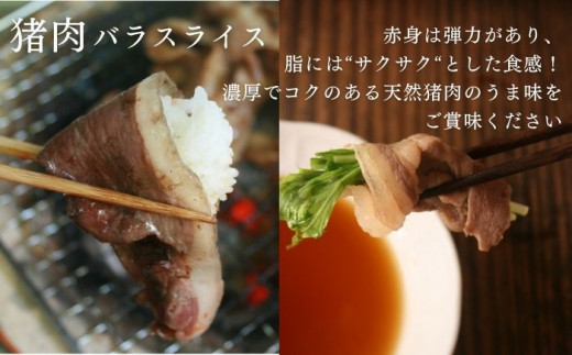 天然 猪肉 極上 バラ スライス ＆ 鹿 挽肉 セット 計500g《対馬市》【一般社団法人 daidai】焼肉 赤身 肉 お肉 鹿肉 猪肉 ジビエ ひき肉 ミンチ BBQ タンパク [WBH041]