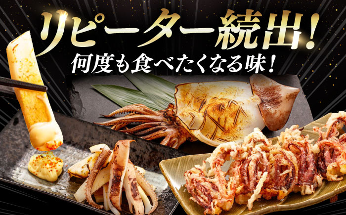 【1週間以内発送】するめ いか 一夜干し セット《対馬市》【対馬地域商社】九州 長崎 海鮮 [WAC006]冷凍 新鮮 簡単調理 肉厚 スルメイカ いか 小分け 天ぷら 炒め物 おつまみ 個包装 贈り物 プレゼント 対馬 つしま するめいか 烏賊 人気 スピード発送 最速発送 最短発送