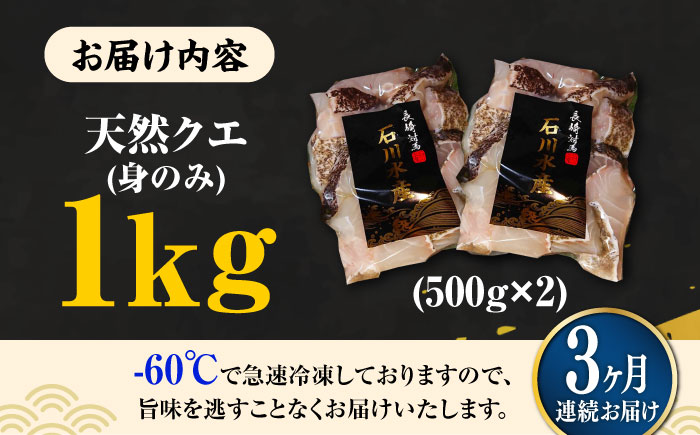 【全3回定期便】【 対馬産 】 天然 クエ 1kg（500g×2）（身のみ）《対馬市》【石川水産】 鍋 水炊き 鮮度抜群 海鮮 クエ 天然クエ [WAB024]