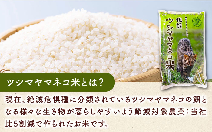 対馬 佐護 ツシマヤマネコ 米 田んぼオーナー1年券【ツシマヤマネコ米30kg付き】（対馬市）【一般社団法人MIT】 米作り体験 田植え 体験 稲刈り 離島 チケット 新米 [WAP015]