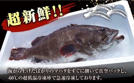 【対馬産】高級魚 マハタ 鍋セット 500ｇ（2〜3人前）《対馬市》【石川水産】 分厚い 冷凍 新鮮 肉厚 ハタ マス アラ 海鮮鍋 [WAB013]九州 長崎 対馬 クエ 高級 煮魚 正月 鍋 珍味 簡単調理 日本食 和食 刺身 唐揚げ なべ  まはた 下処理 小分け