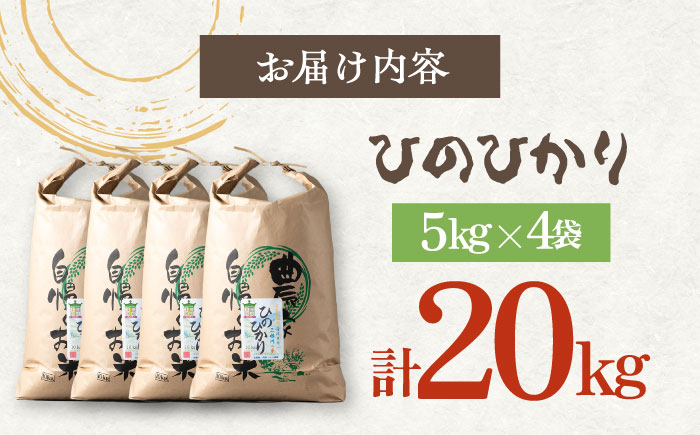 対馬産 ひのひかり 5kg×4 「ほたる舞う三根川の米」 《対馬市》【永留しいたけ農園】 小分け 新鮮 産地直送 米 お米 弁当 新米 白米 20kg 5kg [WAJ020]