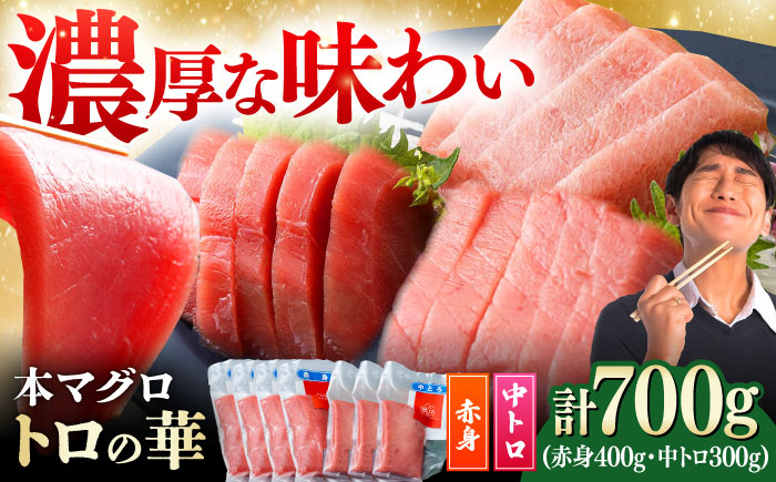 対馬産 本マグロ 700g（赤身400g、中トロ300g） ≪対馬市≫【桐谷商店】 トロの華 対馬 新鮮 マグロ トロ 鮪 刺身 鮮度抜群 [WAQ047]