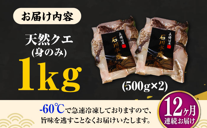 【全12回定期便】【 対馬産 】 天然 クエ 1kg（500g×2）（身のみ）《対馬市》【石川水産】 鍋 水炊き 鮮度抜群 海鮮 [WAB026]