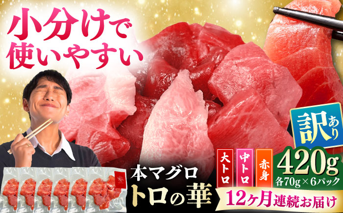 【全12回定期便】訳あり！対馬産 本マグロ 切り落とし 420g（6パック） ≪対馬市≫【桐谷商店】 トロの華 冷凍 新鮮 海鮮 小分け マグロ [WAQ026]