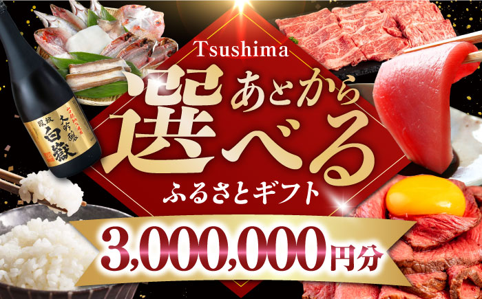 【あとから選べる】対馬市ふるさとギフト 300万円 分 《対馬市》 離島 コンシェルジュ 米 肉 魚介 海鮮 木工品 常温 冷蔵 冷凍 [WZZ023]