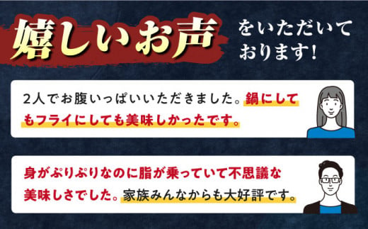 対馬産 クエ鍋セット 600g（2〜3人前）《対馬市》【対馬地域商社】 [WAC014] アラ くえ クエ クエ鍋 鍋 鍋セット 高級魚 魚 希少 冷凍 長崎 九州 つしま 対馬市 海鮮 魚介