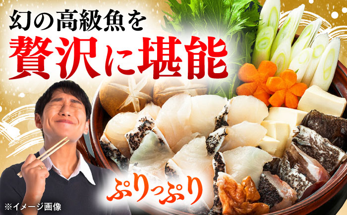 【全2回定期便】対馬産 クエ ぶつ切り 900g 鍋用スープ付《対馬市》【島本水産】高級魚 新鮮 肉厚 本格的 海鮮 鍋セット フライ 煮付け アラ [WBI014]
