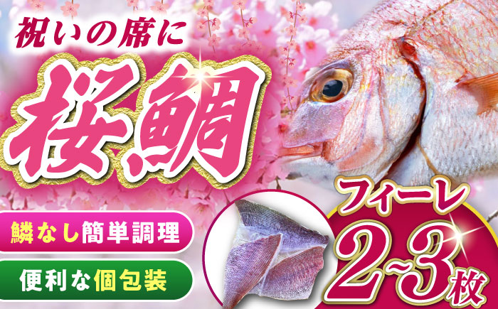 天然 桜鯛 フィーレ 1kg 《対馬市》【対馬新鮮組】 下処理済 鯛 真鯛 サクラダイ 新鮮 お祝い 冷凍配送 産地直送 [WCS002]