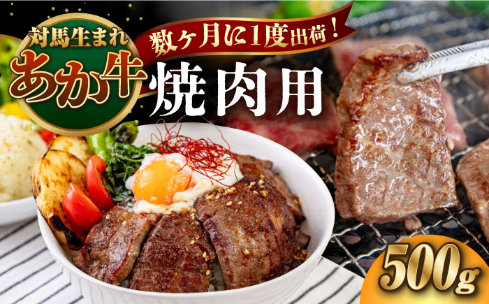 対馬生まれのあか牛 焼肉用 500g《対馬市》【株式会社Tsukushi】 対馬 牛 和牛 焼肉 冷凍配送 [WCR009]