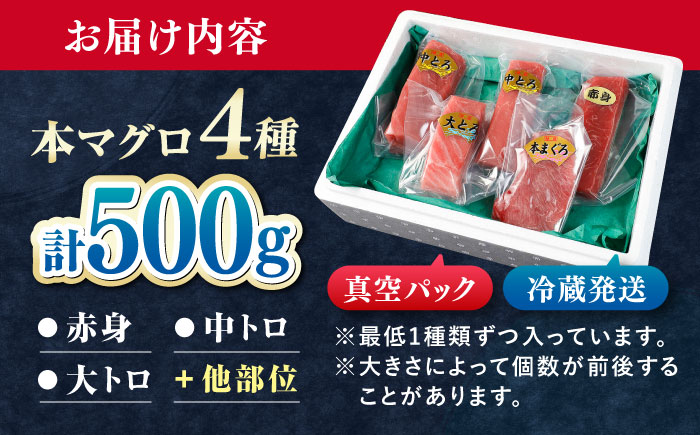 対馬産 生 本マグロ 500g （赤身、中トロ、大トロ）《対馬市》【対海】 中トロ 大トロ まぐろ マグロ 鮪 [WAH025]