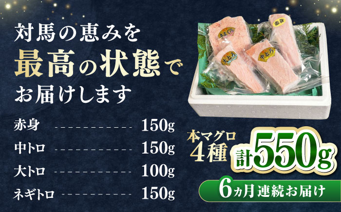 【全6回定期便】対馬産 本マグロ 4種 計550g（赤身/中トロ/大トロ/ネギトロ）《対馬市》【対海】[WAH016] マグロ まぐろ 鮪 本鮪 本マグロ 養殖 トロ 中トロ 中とろ 大トロ 大とろ 赤身 ねぎとろ ネギトロ たたき 刺身 冷凍 海鮮 魚 柵 お祝い 贈答 定期便 毎月届く