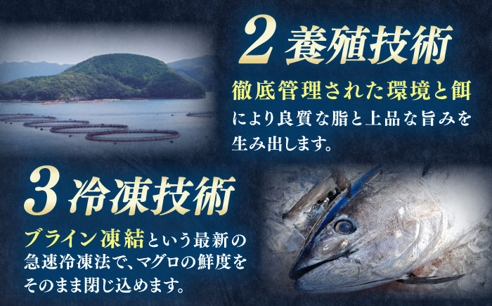 訳あり！対馬産 本マグロ 切り落とし 210g（3パック） ≪対馬市≫【桐谷商店】トロの華 冷凍配送 新鮮 海鮮 小分け マグロ [WAQ015]