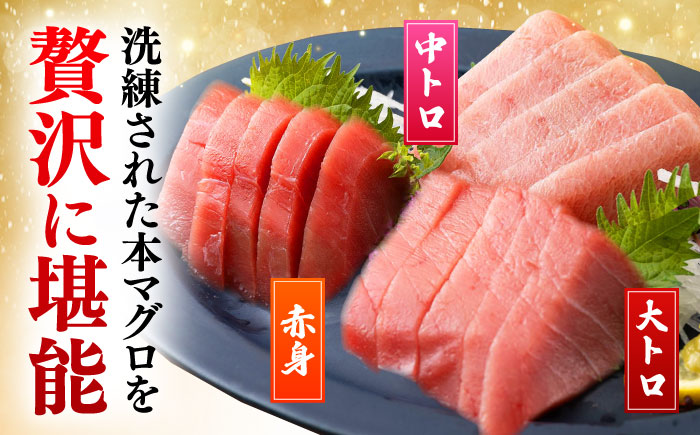 【全3回定期便】対馬産 本マグロ 500g（赤身200g、中トロ200g、大トロ100g）≪対馬市≫【桐谷商店】 トロの華 対馬 新鮮 マグロ 大トロ 鮪 刺身 鮮度抜群 [WAQ056]