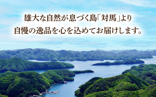 【全3回定期便】対馬 穴子 開き 800g《対馬市》【海風商事】アナゴ 国産 九州 長崎 [WAD029]冷凍 新鮮 あなご 天ぷら もう1品 おかず 肉厚 穴子重 開き 海鮮 魚介 簡単調理 時短  定期便 毎月届く