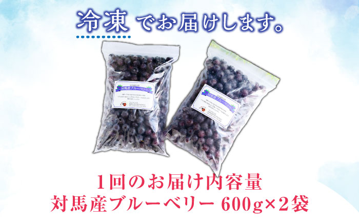 【先行予約】【全12回定期便】 大容量 対馬産 ブルーベリー （ 冷凍 ） 1.2kg【2025年7月上旬以降順次発送】【 さほの里ファーム 】《 対馬市 》 有機 旬 果物 フルーツ [WBG004]