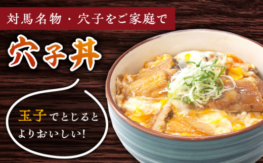 対馬産 穴子丼 の素・ 穴子重 の素【丸徳水産】《対馬市》特産品 新鮮 対馬 あなご 煮付 肉厚 簡単調理 海鮮 常温保存 保存食 [WAE010]常温 便利 簡単調理 穴子 アナゴ あなご 時短 レトルト 非常食 簡単 