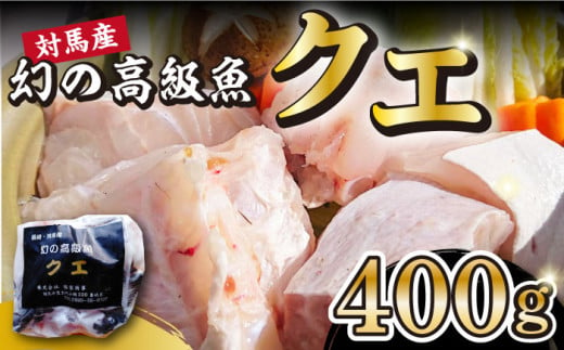 対馬産 幻の高級魚 クエ 400g《対馬市》【保家商事】 くえ 高級魚 アラ 魚 クエ 希少 人気 ランキング 冷凍 対馬 長崎 九州 つしま 対馬市 海鮮 魚介 [WAA004]