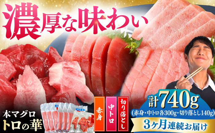 【全3回定期便】対馬産 本マグロ 740g（赤身300g、中トロ300g、切り落とし140g） ≪対馬市≫【桐谷商店】 トロの華 対馬 新鮮 マグロ 赤身 トロ 切り落とし 鮪 刺身 [WAQ080]
