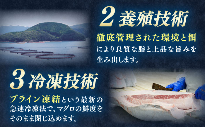 【全6回定期便】対馬産 本マグロ 赤身200g ≪対馬市≫【桐谷商店】 トロの華 対馬 新鮮 マグロ 赤身 鮪 刺身 [WAQ113]