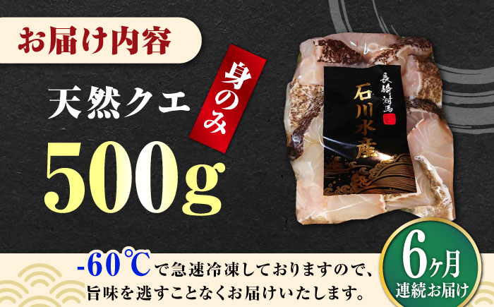 【全6回定期便】【 対馬産 】 天然 クエ 500g （身のみ）《対馬市》【石川水産】 鍋 水炊き 鮮度抜群 海鮮 クエ 天然クエ [WAB019]