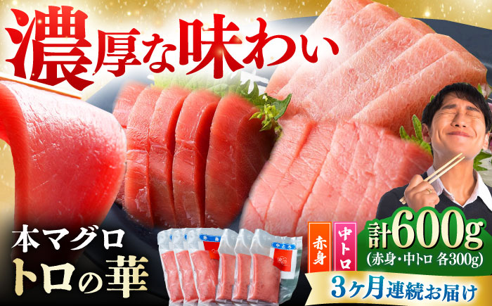 【全3回定期便】対馬産 本マグロ 600g（赤身300g、中トロ300g） ≪対馬市≫【桐谷商店】 トロの華 対馬 新鮮 マグロ 赤身 トロ 鮪 刺身 [WAQ068]