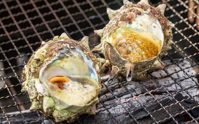 対馬直送！ サザエ 1.5kg 《対馬市》【うえはら株式会社】 産地直送 冷凍配送 さざえ 栄螺 BBQ 魚介 海鮮 対馬 長崎 つぼ焼き [WAI094]
