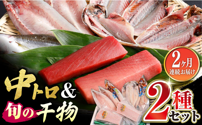 【全2回定期便】対馬産 本マグロ 中トロ300g ＆干物《対馬市》【対海】 新鮮 マグロ 鮪 本鮪 トロ 海鮮 冷凍 浜干し [WAH031]