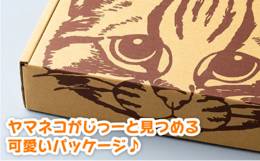 【令和6年産 新米 予約受付中】佐護 ツシマヤマネコ 米 5kg みつめるにゃんBOX セット【24年10月以降順次発送】《対馬市》【一般社団法人MIT】玄米 対馬 精米 減農薬 猫 ギフト [WAP003]