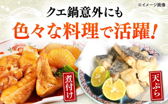 【全12回定期便】対馬産 クエ ぶつ切り 1.5kg 鍋用スープ付《対馬市》【島本水産】高級魚 新鮮 肉厚 本格的 海鮮 鍋セット フライ 煮付け アラ [WBI025]