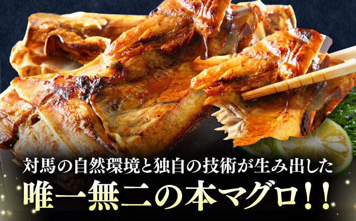 【全6回定期便】対馬産 本マグロ カマ 2kg ≪対馬市≫【桐谷商店】 トロの華 対馬 新鮮 マグロ かま 鮪 [WAQ105]
