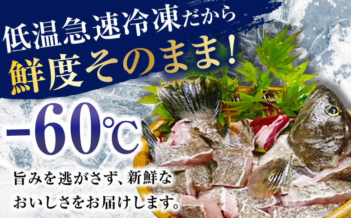 【全4回発送月固定定期便】対馬産 天然 クエ鍋セット《対馬市》【石川水産】 鍋 水炊き 鮮度抜群 海鮮 [WAB014]