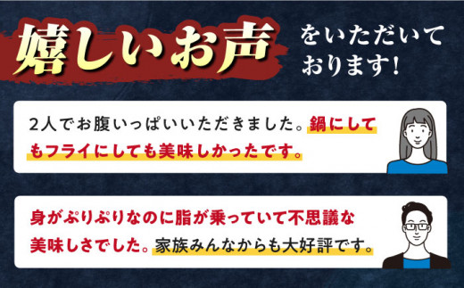 【全3回定期便】対馬 産 クエ 鍋 セット 600g (2〜3人前)《対馬市》【対馬地域商社】九州 長崎 海鮮 [WAC033]冷凍 新鮮 くえ 鍋セット 海の幸 クエ 下処理 冷凍 新鮮 小分け 海産物 九州 長崎 唐揚げ からあげ 天ぷら てんぷら 煮付け 5人前 クエ鍋 対馬 定期便 毎月届く